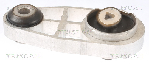TRISCAN Lagerung, Motor