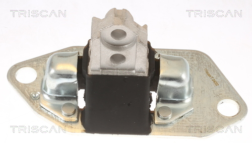 TRISCAN Lagerung, Motor