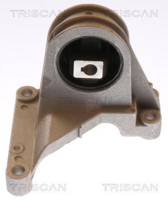 TRISCAN Lagerung, Motor