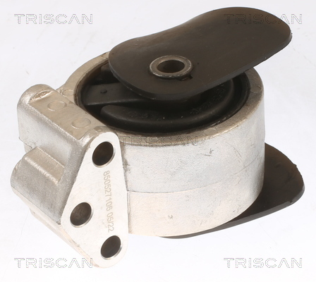 TRISCAN Lagerung, Motor