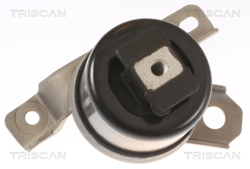 TRISCAN Lagerung, Motor