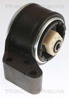 TRISCAN Lagerung, Motor