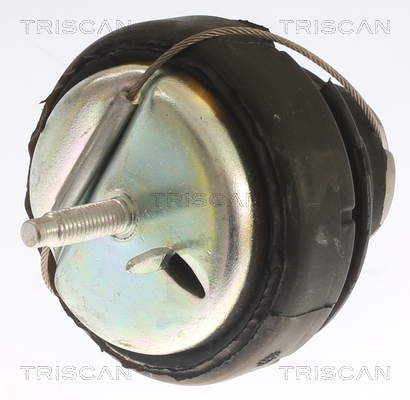 TRISCAN Lagerung, Motor