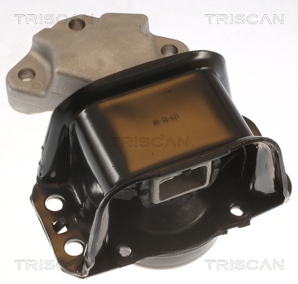 TRISCAN Lagerung, Motor