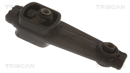 TRISCAN Lagerung, Motor