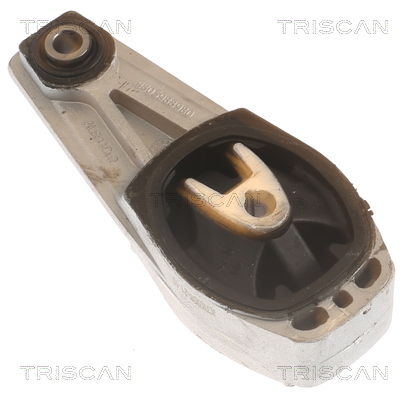 TRISCAN Lagerung, Motor