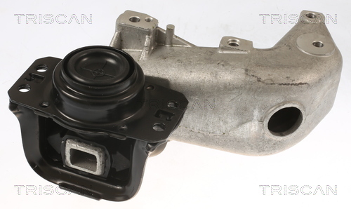 TRISCAN Lagerung, Motor