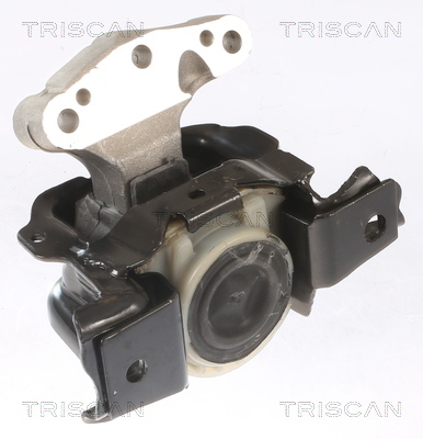 TRISCAN Lagerung, Motor