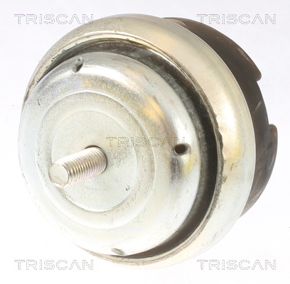 TRISCAN Lagerung, Motor