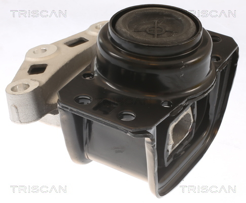 TRISCAN Lagerung, Motor