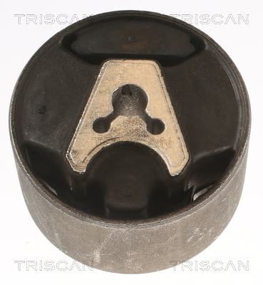 TRISCAN Lagerung, Motor