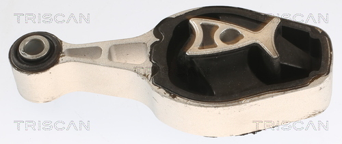 TRISCAN Lagerung, Motor