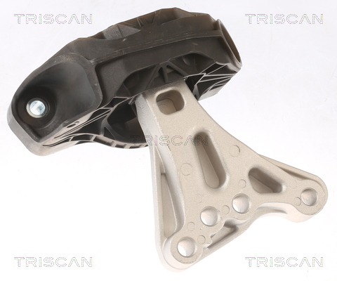 TRISCAN Lagerung, Motor