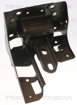 TRISCAN Lagerung, Motor
