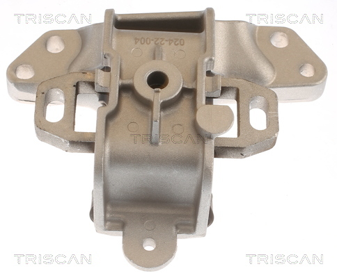 TRISCAN Lagerung, Motor