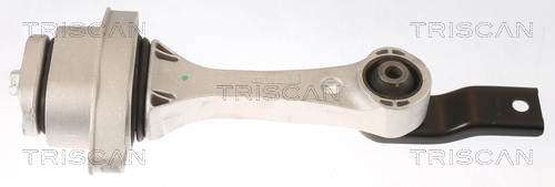 TRISCAN Lagerung, Motor