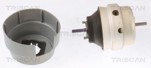 TRISCAN Lagerung, Motor