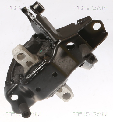 TRISCAN Lagerung, Motor