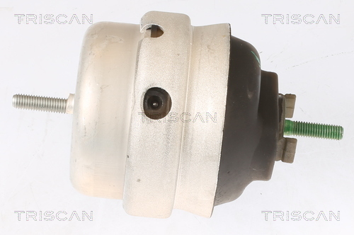 TRISCAN Lagerung, Motor