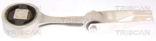 TRISCAN Lagerung, Motor