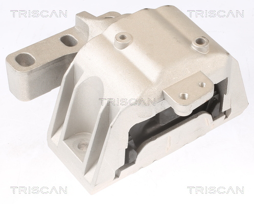 TRISCAN Lagerung, Motor