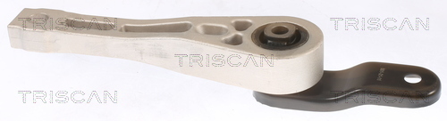 TRISCAN Lagerung, Motor