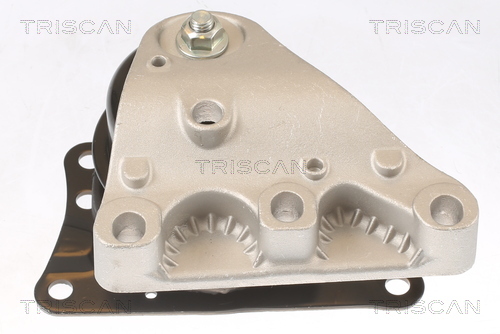 TRISCAN Lagerung, Motor