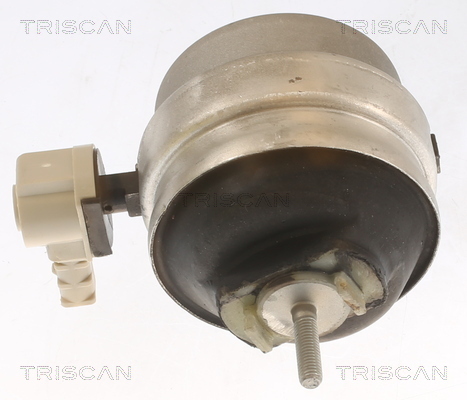 TRISCAN Lagerung, Motor