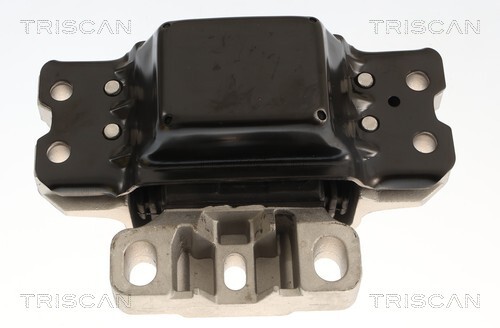 TRISCAN Lagerung, Motor
