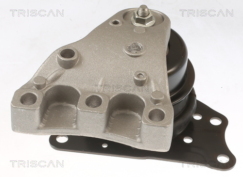 TRISCAN Lagerung, Motor
