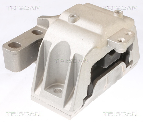 TRISCAN Lagerung, Motor