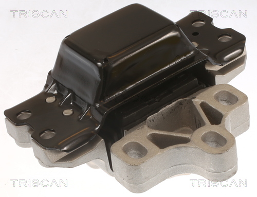 TRISCAN Lagerung, Motor