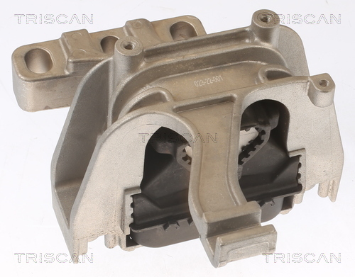 TRISCAN Lagerung, Motor