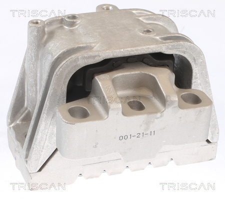 TRISCAN Lagerung, Motor