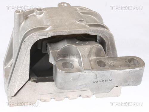TRISCAN Lagerung, Motor