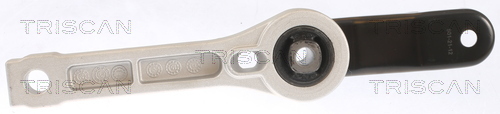 TRISCAN Lagerung, Motor