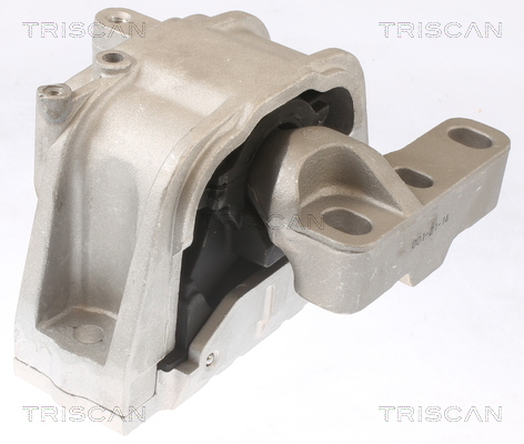 TRISCAN Lagerung, Motor