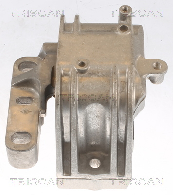 TRISCAN Lagerung, Motor