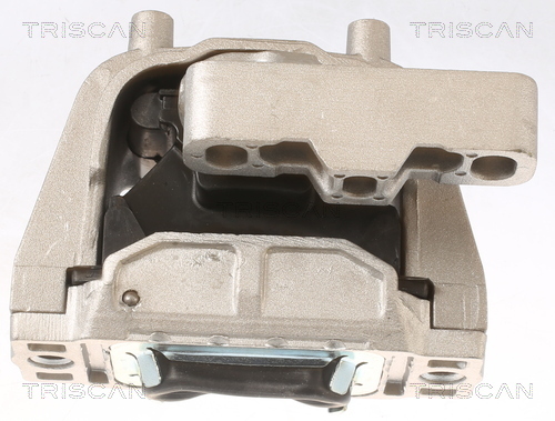 TRISCAN Lagerung, Motor