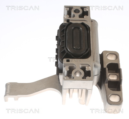 TRISCAN Lagerung, Motor
