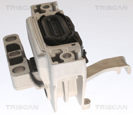 TRISCAN Lagerung, Motor
