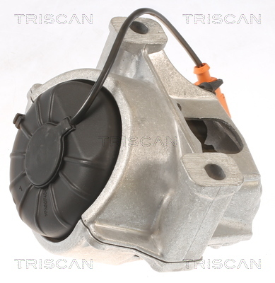 TRISCAN Lagerung, Motor
