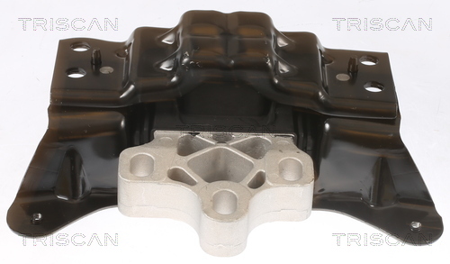 TRISCAN Lagerung, Motor