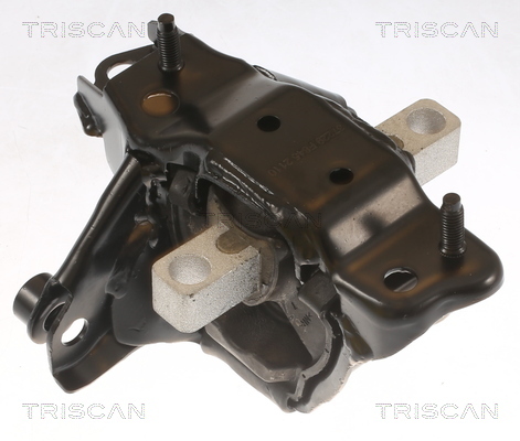 TRISCAN Lagerung, Motor