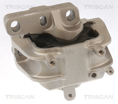 TRISCAN Lagerung, Motor
