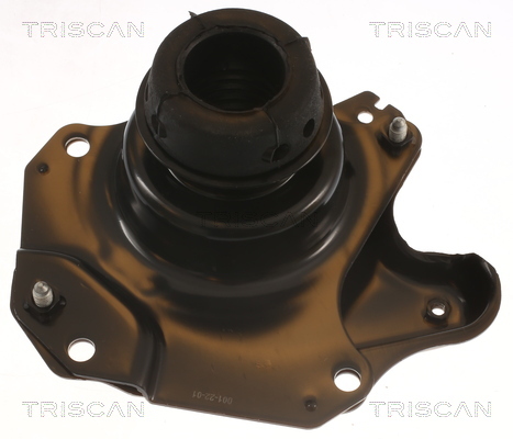 TRISCAN Lagerung, Motor