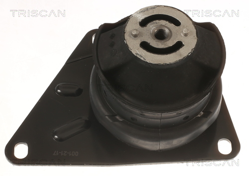 TRISCAN Lagerung, Motor