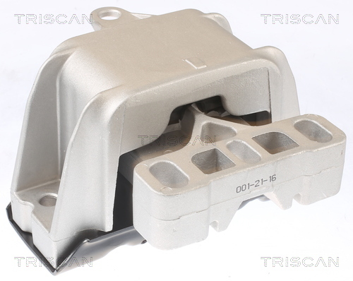 TRISCAN Lagerung, Motor