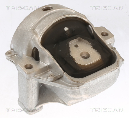 TRISCAN Lagerung, Motor