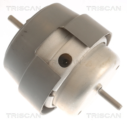 TRISCAN Lagerung, Motor